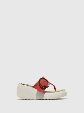Buckle Mules DAFI938FLY RASPBERRY
